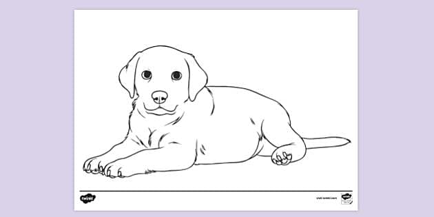 Free cute dog colouring Pages for Kids to Print and Color