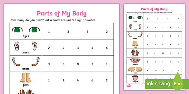 Parts Of My Body Activity teacher Made Twinkl