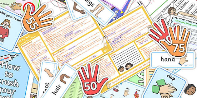 Body Parts Lesson Plan Human Body Lesson teacher Made 
