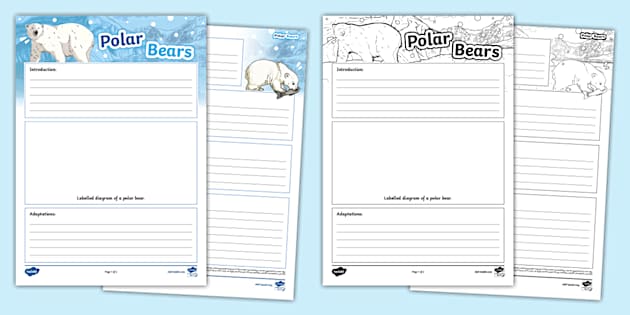 Polar Bears Non-Chronological Report Template - Twinkl