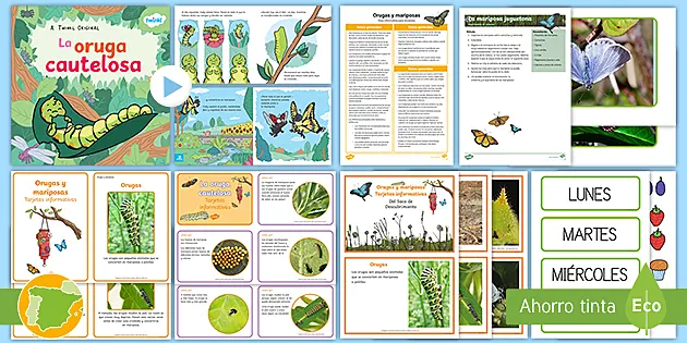 Pack de lectura compartida: Orugas y mariposas - Twinkl