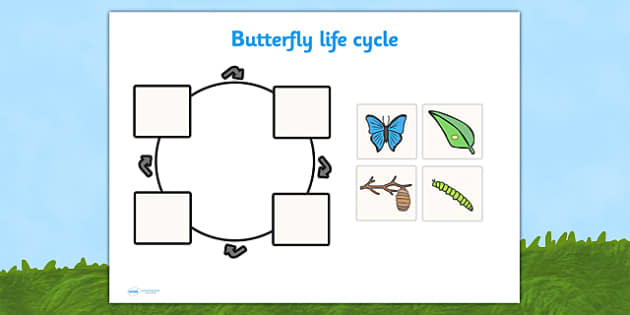 eyfs-butterfly-life-cycle-cut-and-stick-activity-life-cycles