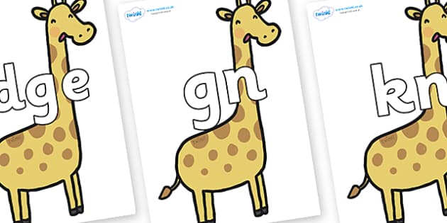 Silent Letters on Giraffes (Teacher-Made) - Twinkl