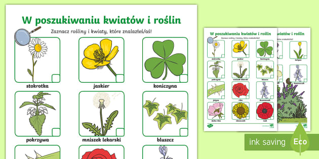 Sprawdzian Z Biologi 1 Gimnazjum Swiat Roslin Karta pracy - W poszukiwaniu kwiatów i roślin - Twinkl