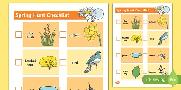 New Zealand Weather Maths Worksheet (teacher made) - Twinkl