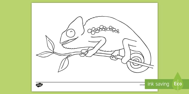 a color of his own chameleon coloring page