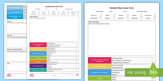 Eyfs Detailed Observation And Next Steps Template 1702