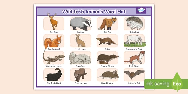 Wild Irish Animals (Word Mat). (teacher made) - Twinkl