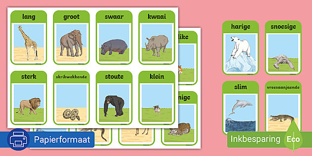 Diere Byvoeglike Naamwoorde Kaartjies Teacher Made