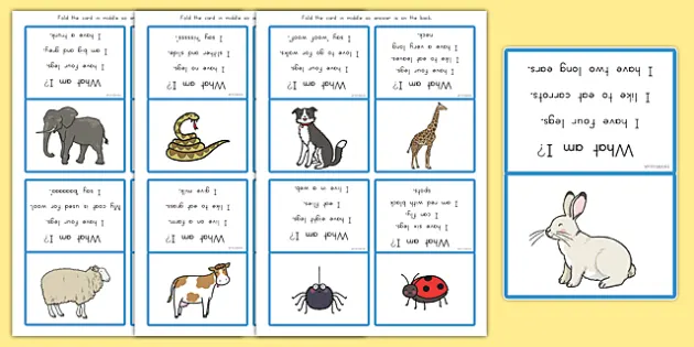 Pets In English, Guessing Game