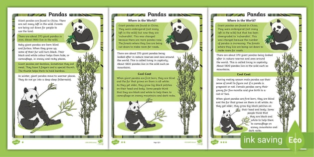 Panda Reading Comprehension Worksheets - Twinkl
