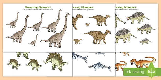 Measuring Dinosaurs Activity