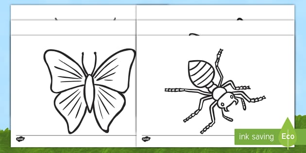 Libro Insectos y Bichos Libro de Colorear Para Niños: Páginas de