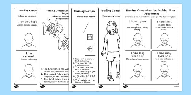 Reading Comprehension Worksheet / Worksheets Higher Ability English/Polish