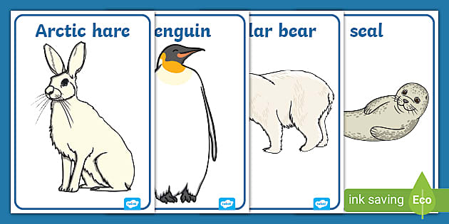 Polar Regions Animals Display Posters - Polar List - Twinkl