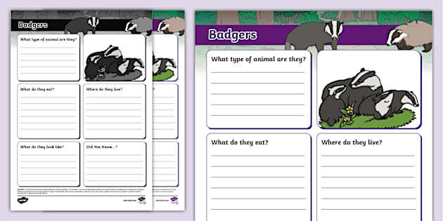 Badgers Fact File Template, Badger Writing Frame - Twinkl