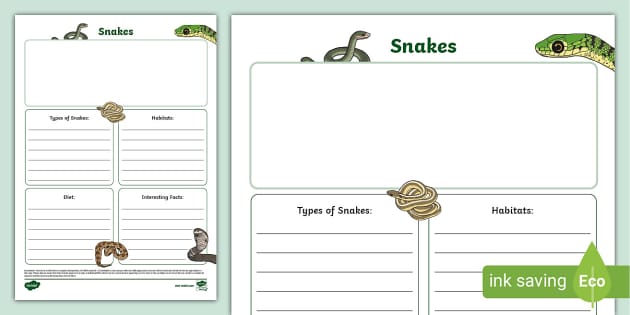 KS1 Snakes Fact File Template (teacher made) - Twinkl
