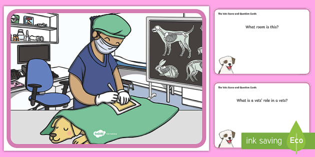 The Vets Aistear Scene and Question Cards (teacher made)