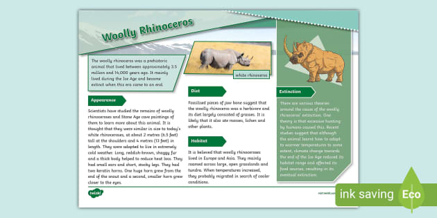 Woolly Rhinoceros Fact File - Prehistoric Animals - Twinkl