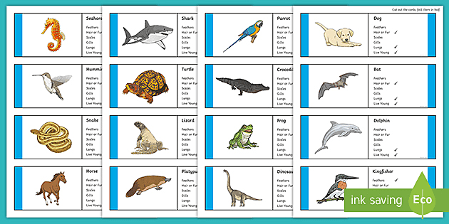 Classifying Vertebrates | Animal Cards (teacher made)