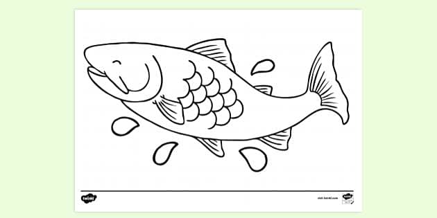 FREE! - Fish Colouring Sheet - Printable Primary Resources