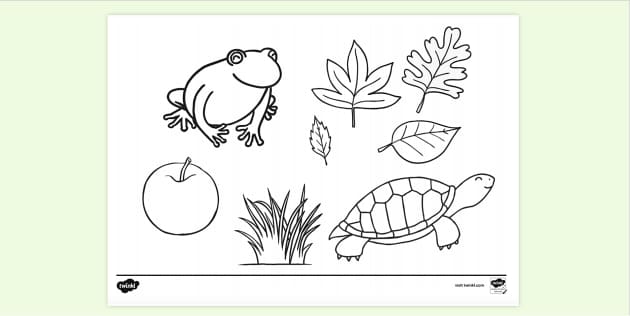yellow coloring pages for preschoolers