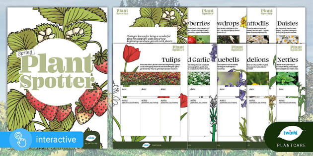 Spring Plant Spotter Booklet, Foraging Tracker, Wild flowers