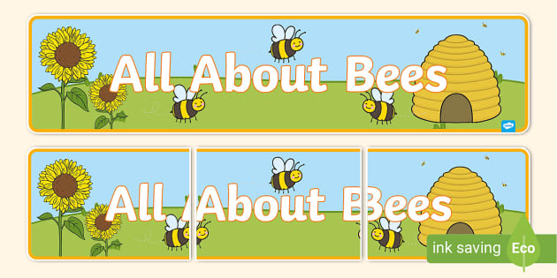 All About Bees Display Banner (teacher made) - Twinkl