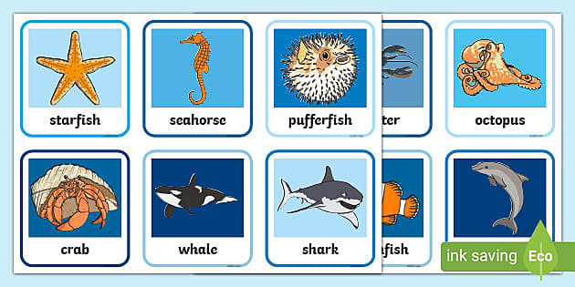 Ocean animals matching activity cards- easy to print.
