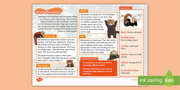 Red Panda KS2 Fact File - Animals - Mammals (teacher made)