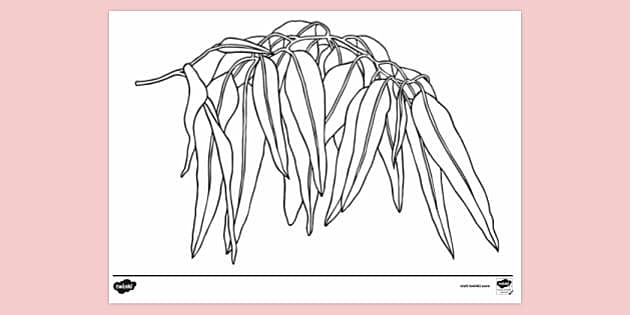 gumnut baby coloring pages