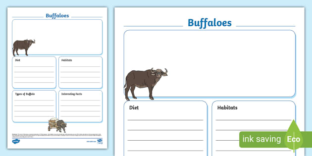 Buffaloes Fact File Template, Buffalo, Buffaloes - Twinkl