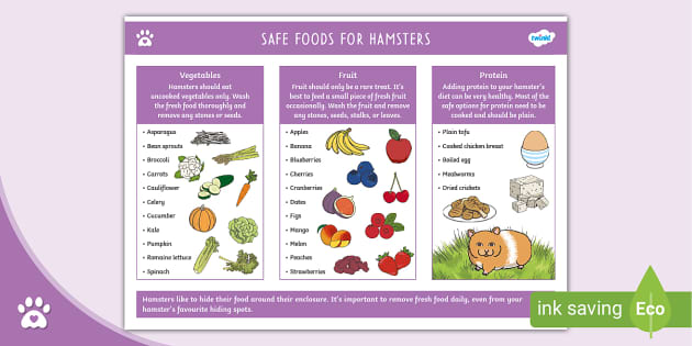hamster food list