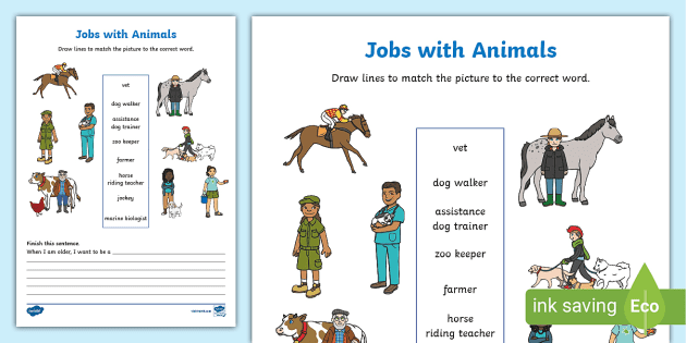 Jobs with Animals Activity Sheet (teacher made) - Twinkl