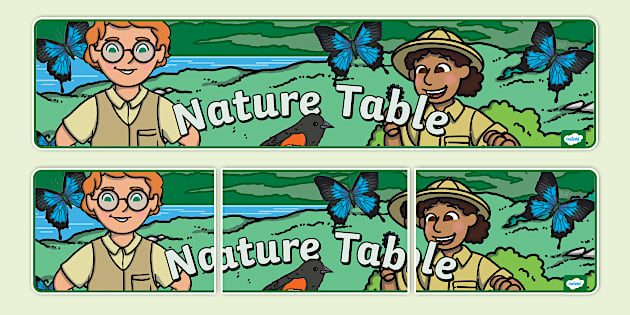 Nature Table Display Banner (teacher made) - Twinkl