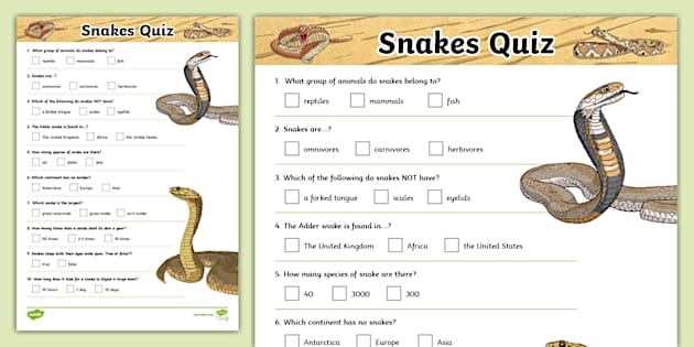 Snakes General Knowledge Quiz (teacher made) - Twinkl
