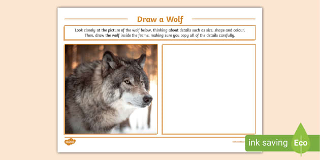 Draw a Wolf Art Activity,wolf (teacher made) - Twinkl