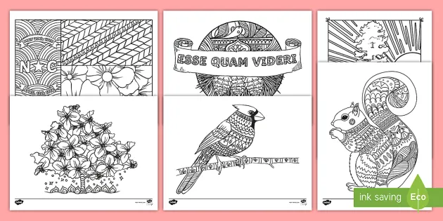 North Carolina State Symbols Mindfulness Coloring Sheets