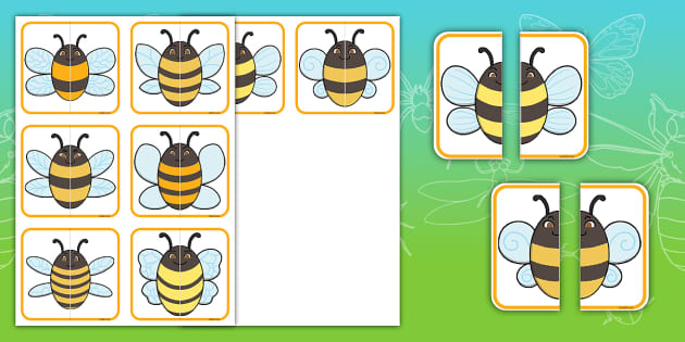 Bee Symmetry | Matching Cards | Twinkl EYFS | World Bee Day