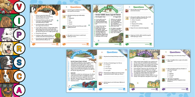 UKS2 60-Second Reads: Pets Activity Pack (teacher made)