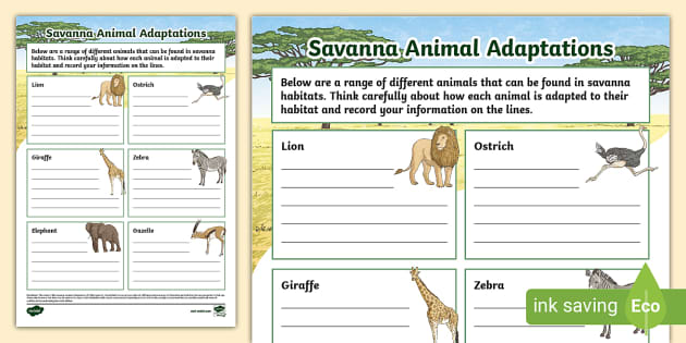 Savanna Animal Adaptations Activity Sheet (teacher made)