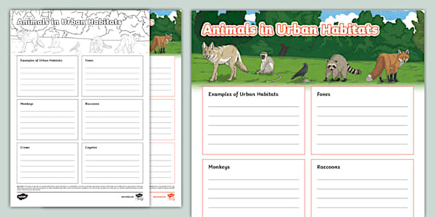 Animals in Urban Habitats Fact File Template - Twinkl