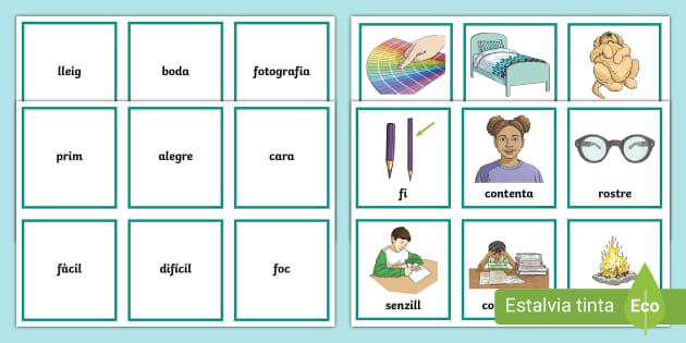 Targetes d'aparellar: Sinònims Nivell 2 - Català - Twinkl