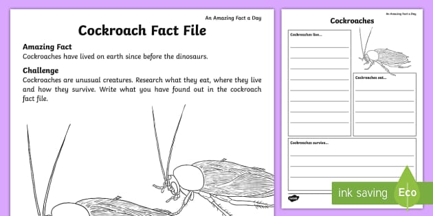 La Cucaracha: The Cockroach Lined Pages For Journaling, Studying, Writing,  Daily Reflection / Bugs Workbook