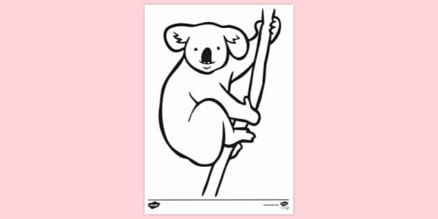 FREE! - Free Koala Colouring Page | Colouring Sheets
