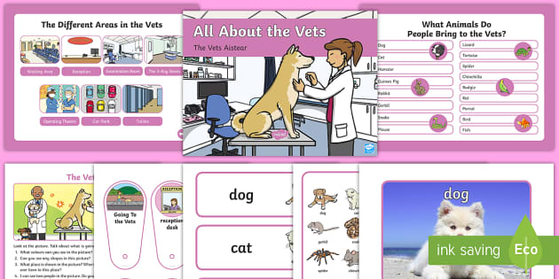 The Vets Aistear Oral Language Activity Pack (teacher made)