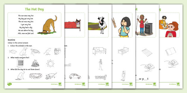 CVC Reading Comprehension - Mixed Vowel Sounds | Foundation