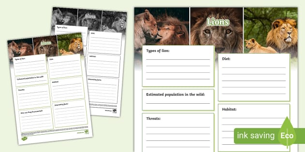 * NEW * KS2 Lions Fact File Template (teacher Made) - Twinkl