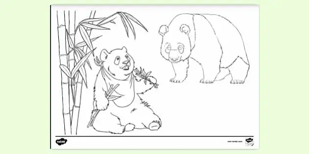 Panda na China - Pandas - Coloring Pages for Adults