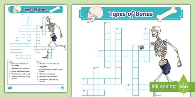 Types of Bones Crossword (teacher made) Twinkl